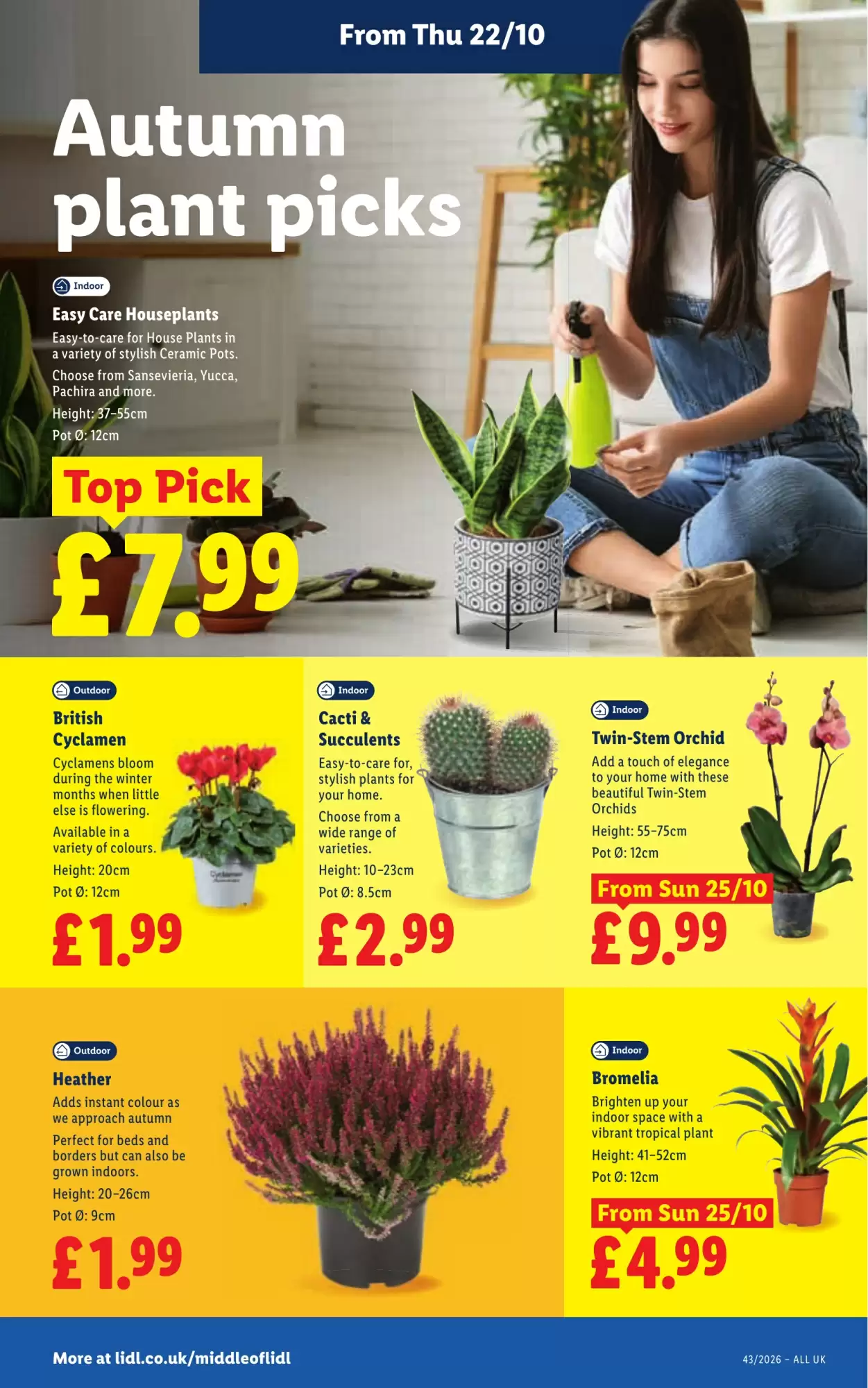 Lidl offers valid from 22/10/2026 - Page 28.